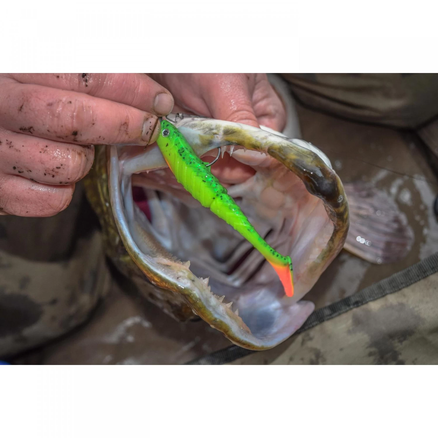 Shads Fluoro Chevron Korum Prêt à L'emploi10g 12cm 1 Shads Fluoro Chevron Korum Prêt à L'emploi10g 12cm